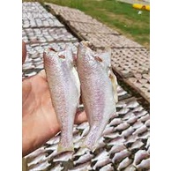 Khô cá đù Cà Mau size trung 1kg, thương hiệu đặc sản Dakydo, ăn là ghiền!