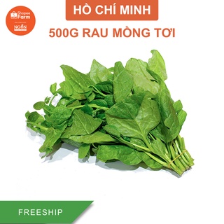 [HCM] 500g Rau Mồng Tơi Ngon, Xanh Non - ShopeeFarm