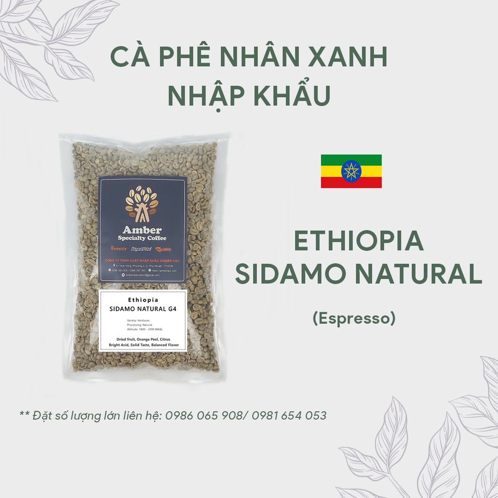 Cà phê nhân xanh Ethiopia Sidamo G4 - 1kg | BigBuy360 - bigbuy360.vn