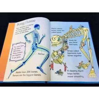 Nhập - Usborne Beginers Science 10 cuốn