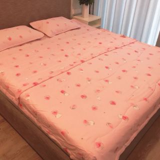 Chiếu lụa điều hòa 2*2,2m
