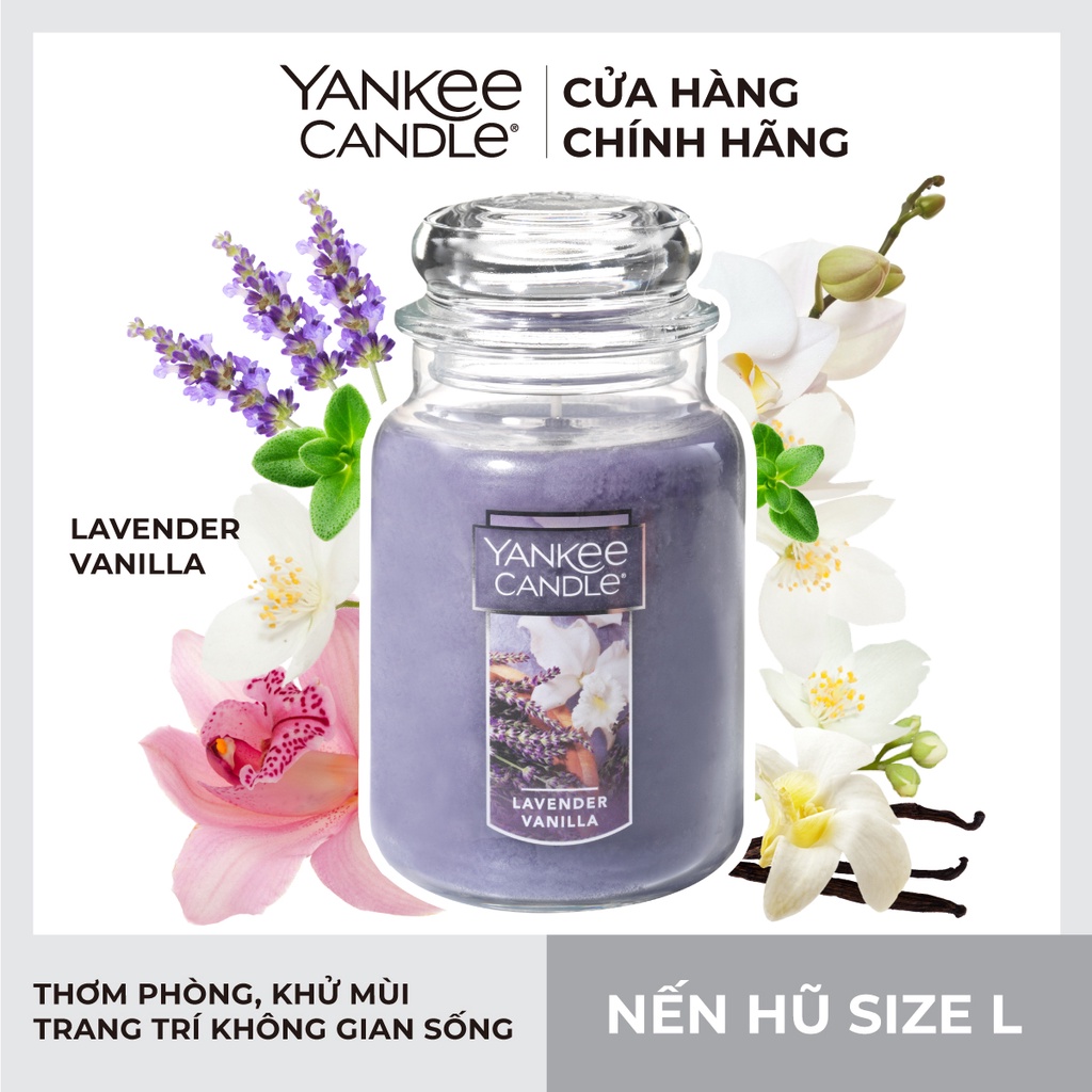 Nến hũ Yankee Candle size L - Lavender Vanilla (623g)