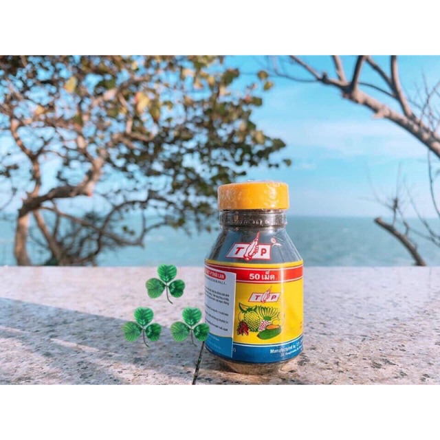 Vitamin tăng cân TP