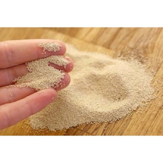 Men Nở Instant Mauripan 50g