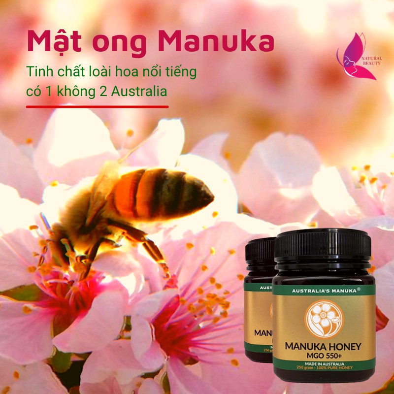 [Giá Khuyến Mãi] Mật Ong Úc Manuka Hàng Nhập Nội Địa - MGO 263+ hộp 250g