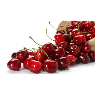 SON HỮU CƠ LAVERA WILD CHERRY 14