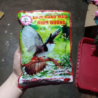 Cám chào mào bình dương số 1 và số 2