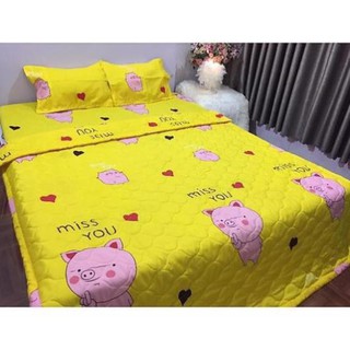 Bộ Ga Giường Họa Tiết Hoạt Hình, Ga trải giường họa tiết xinh xắn, Ga giường đẹp, Ga giường đủ kích cỡ và nhiều lựa chọn