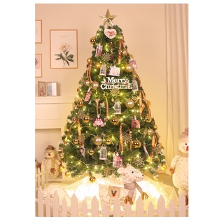 Cây thông Noel Giáng sinh trang trí