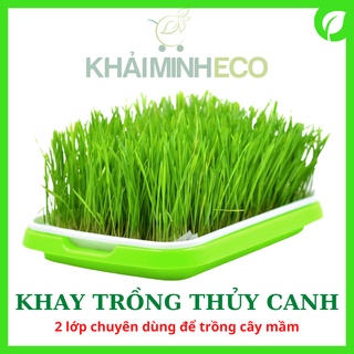 Khay nhựa trồng thủy canh 2 lớp