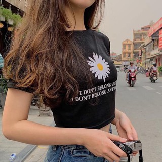 💥 ÁO CROPTOP HOA CÚC UNISEX - ÁO THUN - ÁO LAPTOP - ÁO NỮ