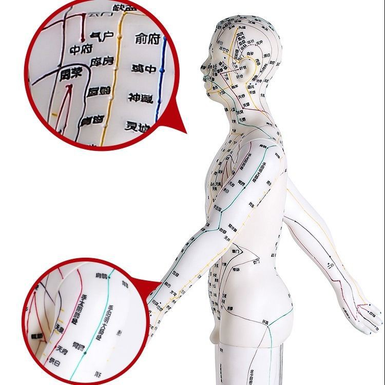 ◇❄Mô Hình Châm Cứu Cơ Thể Người Bằng Đồng Thau Kiểu Trung Hoa