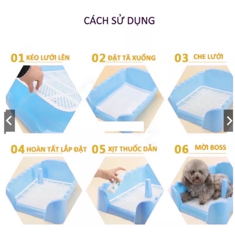 Tã lót chuồng Dogs &amp; Cats lẻ