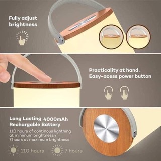 ĐÈN SẠC PIN ĐA NĂNG TAO TRONICS