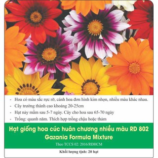 [Rạng Đông] Hạt Giống Hoa Cúc Huân Chương Nhiều Màu RD 802 Gazania Formula Mixture Gói 20 Hạt