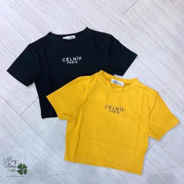 Crotop ôm body in chữ