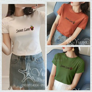 Áo Thun Cotton Thái Cao Cấp
