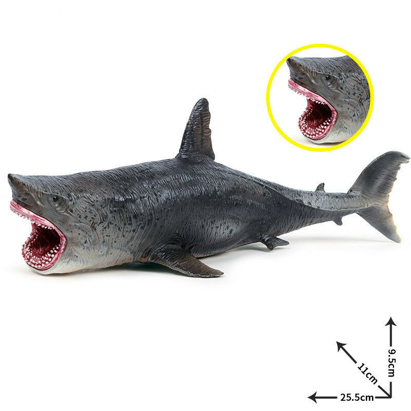 Đồ trang trí Cá Mập Megalodon Đồ Chơi Cho Bé