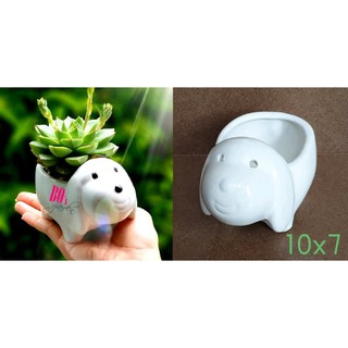Chậu sứ trồng cây hình thú