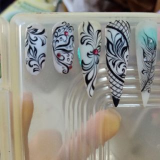 Móng vẽ mẫu tròn và nhọn