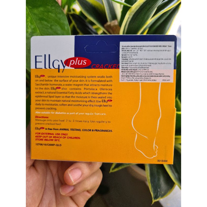 Kem Trị Nứt Gót Chân Ellgy Plus 25g | BigBuy360 - bigbuy360.vn