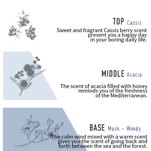 Nước Hoa Cao Cấp Cha Eun Woo Pick DASHU 50ml 3 Loại