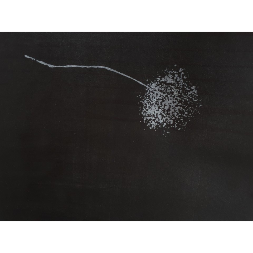 Decal giấy dán tường hoa bồ công anh đen | BigBuy360 - bigbuy360.vn