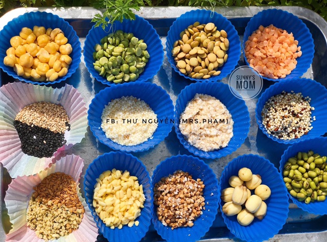 Diêm mạch (Quinoa) 3 màu hữu cơ Bio Planet 100g - 500g