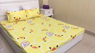 Ga gối poly