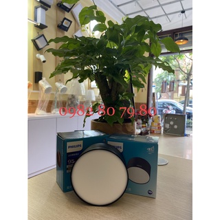 ĐÈN BƠ PHILIPS 9W D100