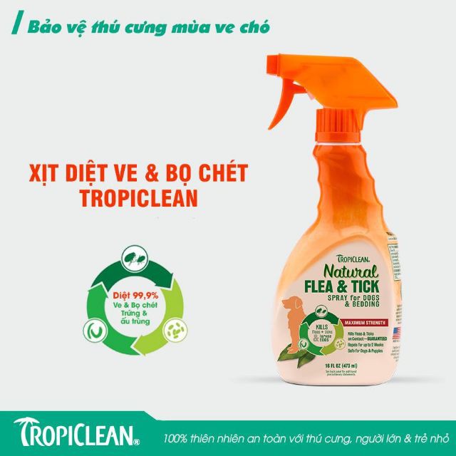 Xịt diệt ve và bọ chét môi trường xung quanh