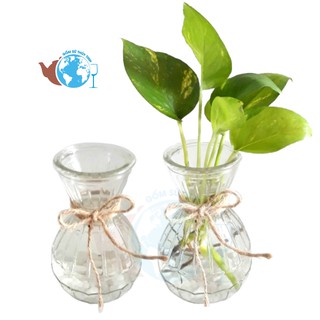 Bình bông lọ hoa thủy tinh HOA VĂN miệng loe