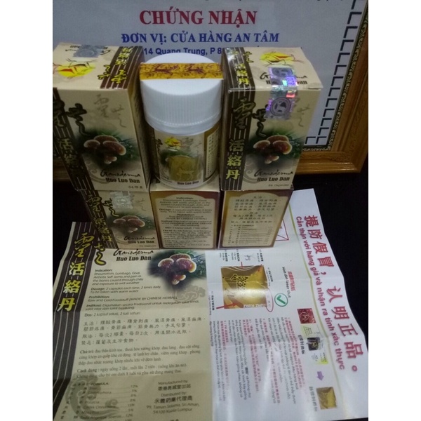 Linh Chi Hoạt Lạc Đơn Malaysia