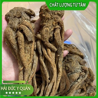Đương Quy Cam Túc [ 12-16 củ/kg]  [ Quy Đen ] Củ To, Thơm Hàng Thượng Phẩm