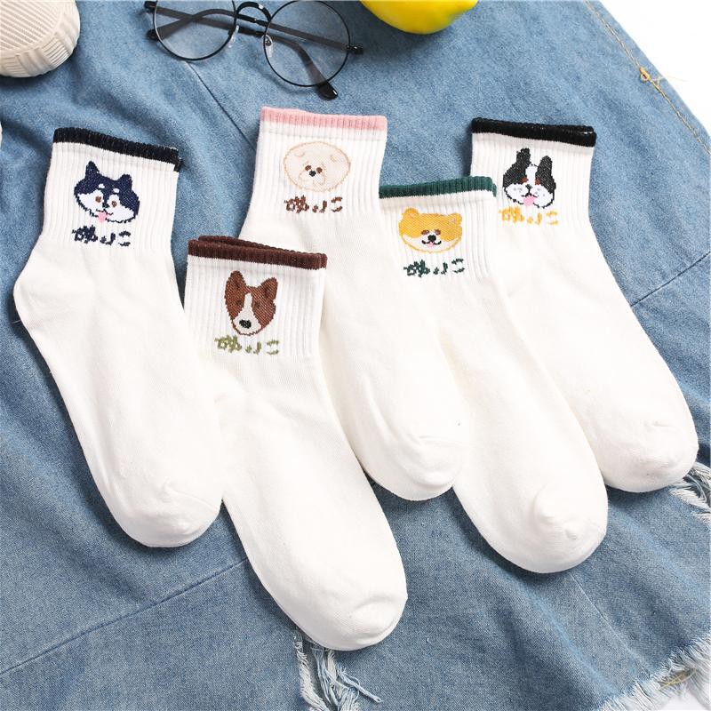 Tất Vớ Nữ Cao Cổ Cotton Hình Chó Shiba Hot Trend Kiểu Hàn Quốc Ulzzang Hot Trend