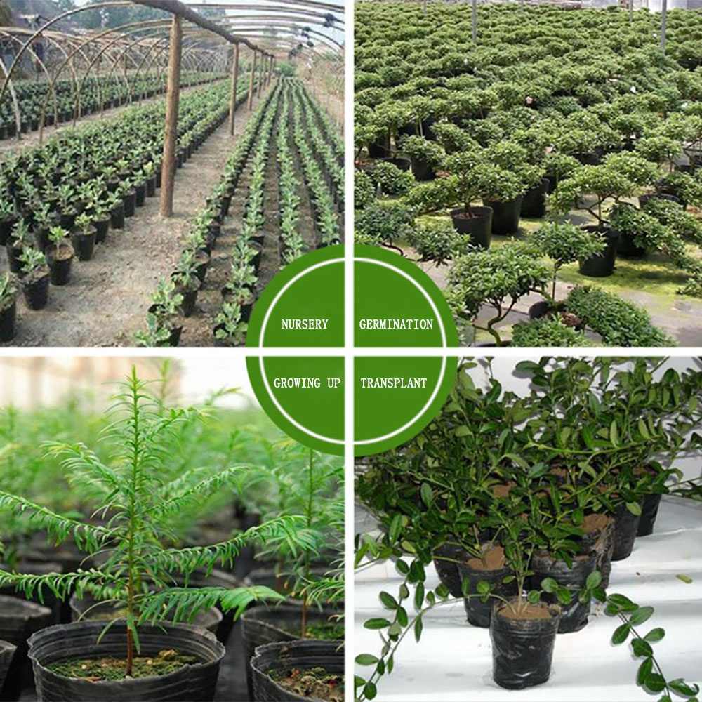 Set 100 túi nhựa Epoch ươm gieo hạt trồng cây tiện dụng cho vườn