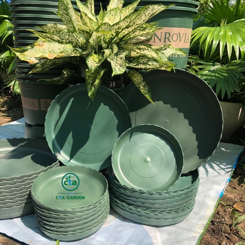 Dĩa lót chậu bằng nhựa màu xanh lá - đế kê chậu cây đường kính 15 - 22 - 26 (cm)
