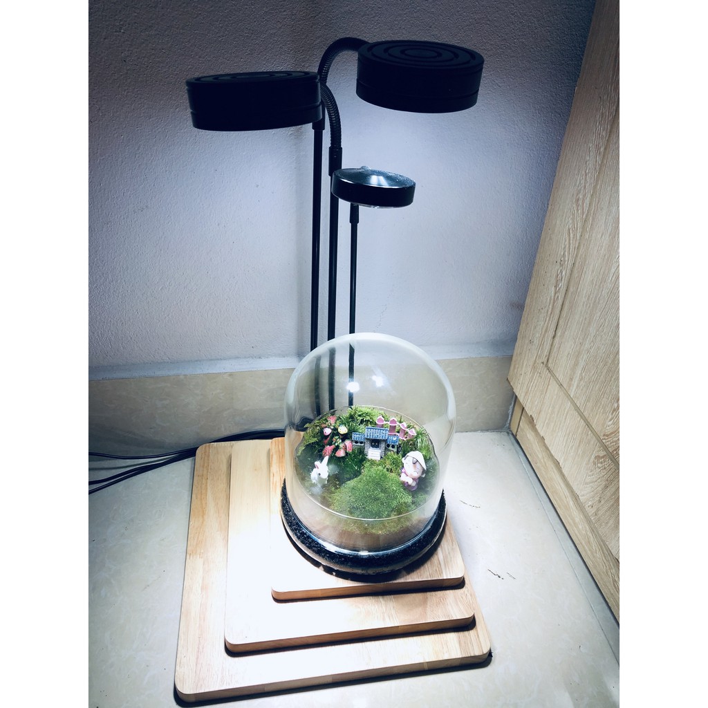 { Kèm 04 hít nâng đế) Đèn đế gỗ 3W, 5W, 7W 9W dùng cho bể Terrarium, bán cạn, thủy sinh nhiệt độ màu 6000-6500K