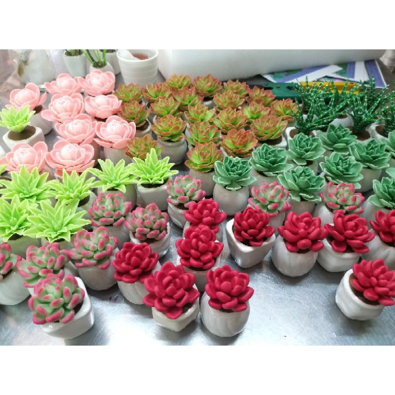 SEN ĐÁ MINI,Giao mẫu ngẫu nhiên