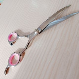 Kéo cắt tỉa lông chó mèo.