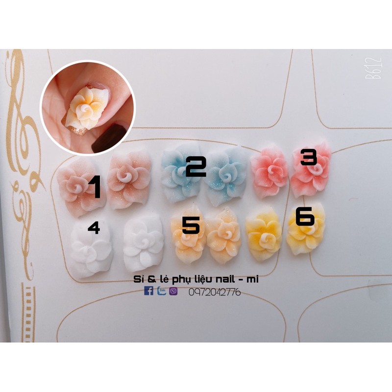 Hoa bột nail  ( giá 1b )