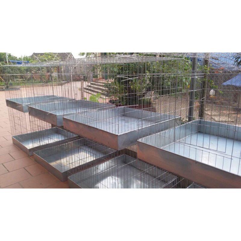 Bộ lồng cho gà ,chim ...80-80-80