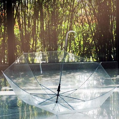 Ô dù trong suốt phong cách hàn quốc chụp ảnh check in