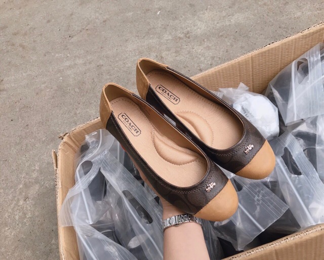 ‼️Rẻ nhất Shopee‼️Giày búp bê C.oach | BigBuy360 - bigbuy360.vn