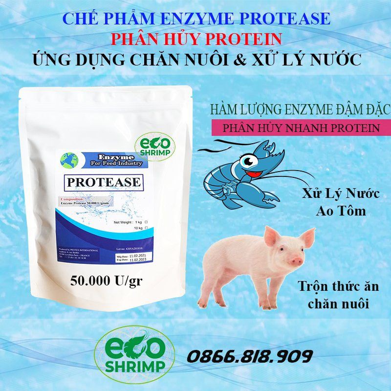 Túi Chiết Lẻ 100 Gram Enzyme Protease Nguyên Liệu Ủ Phân Cá Và Ủ Đạm Đậu Nành Chăn Nuôi