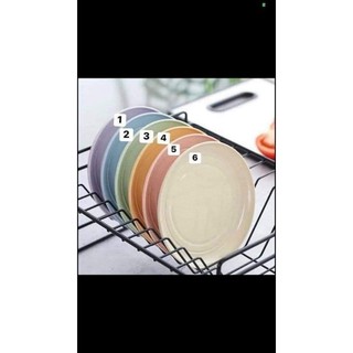 Set 6 đĩa lúa mạch siêu đẹp