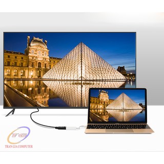 Cáp chuyển đổi USB Type C sang Displayport (âm) Ugreen 40372