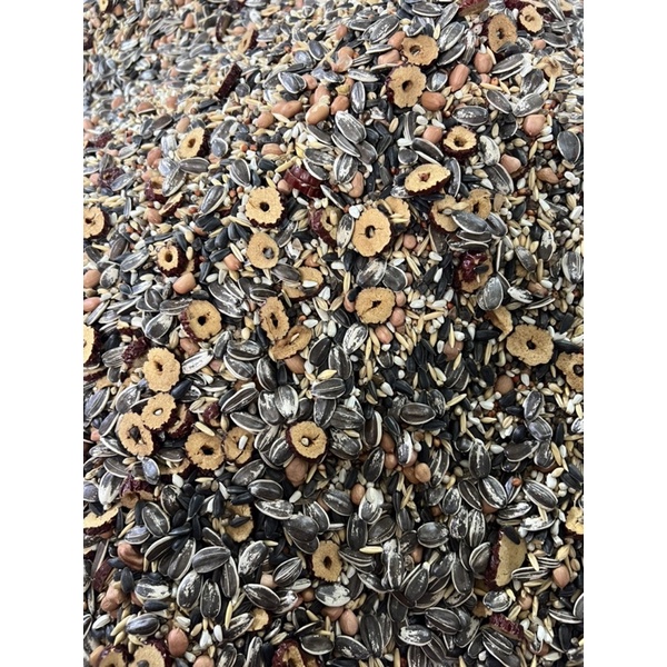 1KG Hạt Trộn Vẹt Trung Và Lớn Xích , Xám , Sun , greencheeck , ringneck , Monk , Lory và các dòng cùng Size