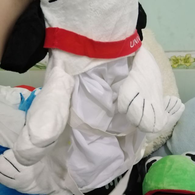 Set Molang