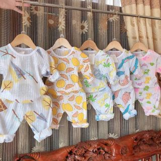 Combo 5b cotton giấy dài